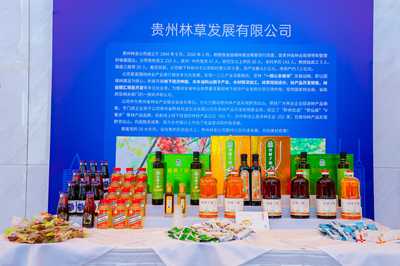 簽約83.7億元!2022年深圳·貴州林業(yè)產(chǎn)業(yè)招商引資活動(dòng)舉行